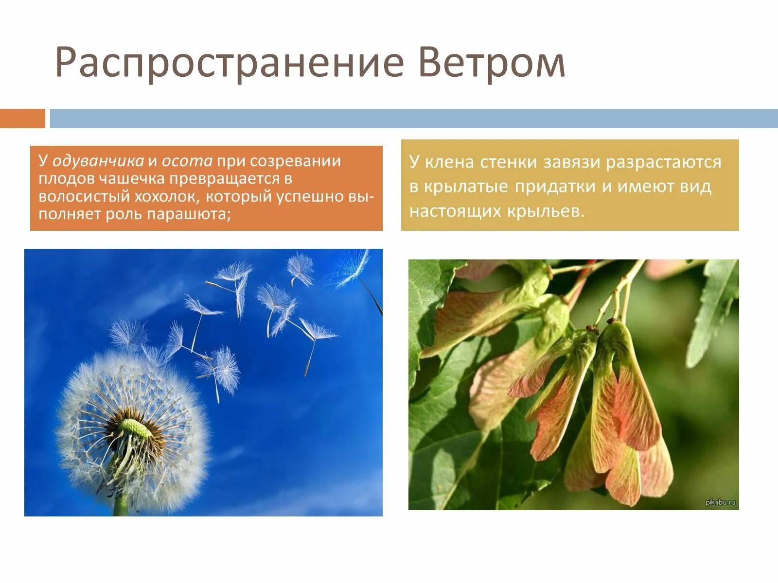 Какое приспособление способствует