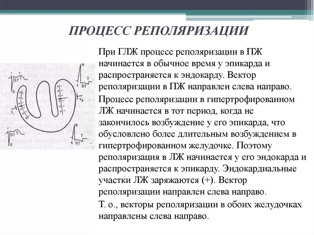 Умеренные изменения процесса реполяризации. Реполяризационные изменения на ЭКГ. Реполяризация миокарда на ЭКГ диффузные изменения. Нарушение процессов реполяризации миокарда нижнебоковой стенки. Умеренные изменения реполяризации на ЭКГ.