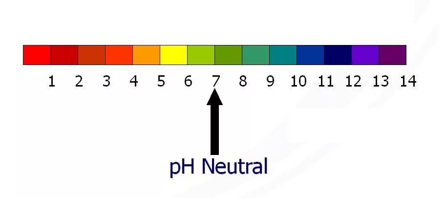 Шкала рн. Рн лакмусовая бумага шкала. Шкала кислотности ph. Рн линия. Ph уровень кислотности шкала.