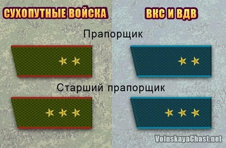 Мичман какое звание