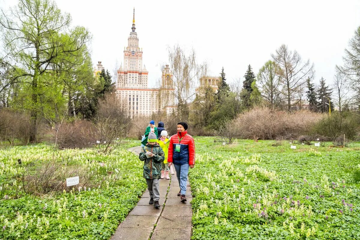 Ботанический сад мгу посещение и цены 2024. Ботанический сад МГУ Москва. Ботанический сад МГУ на Ленинских горах. Бот сад МГУ Воробьевы горы. Москва Ленинские горы 1/12 Ботанический сад МГУ.