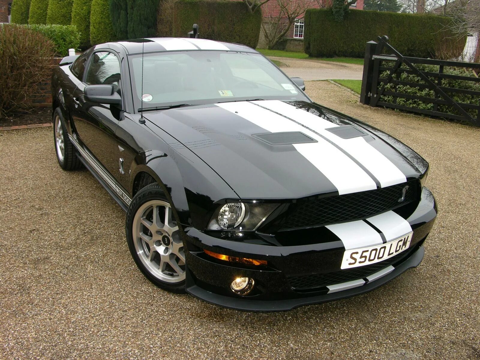 Форд Мустанг 2008. Форд Мустанг gt 2008. Ford Mustang Shelby 2008. Форд Мустанг 2008г. Мустанг 2008