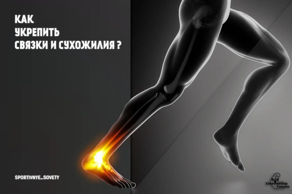 Упражнения для укрепления связок и сухожилий. Укрепление связок и сухожилий. как укрепить связки и сухожилия. как укрепить связки и сухожилия рук.