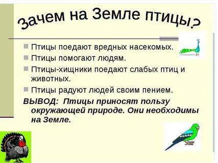 Почему птиц становится меньше
