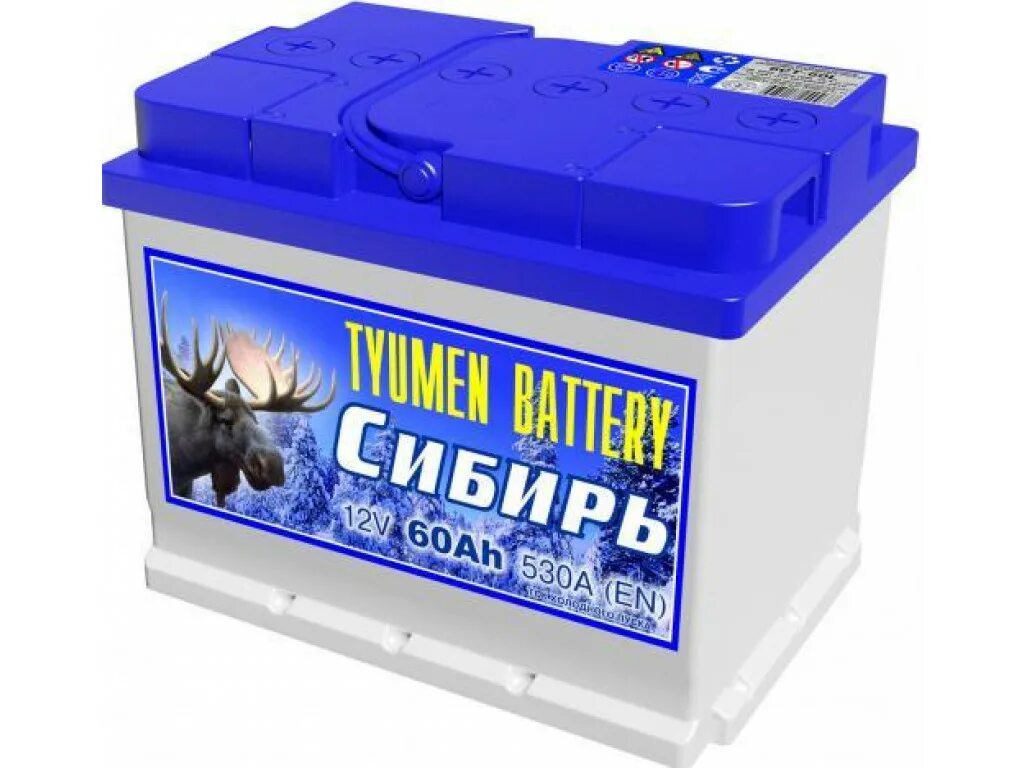 Тюмень батарея купить. Автомобильный аккумулятор Tyumen Battery Standard 6ст-62l 550а о.п.. АКБ 6ст-60 Tyumen Сибирь п.п.. Тюменский аккумулятор 60 Ач. Tyumen Battery Standard 6ст-190l CA/CA.