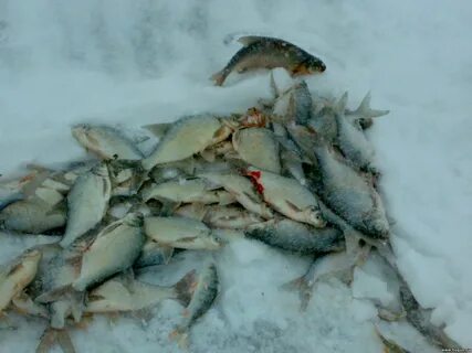 Яузское водохранилище центральный