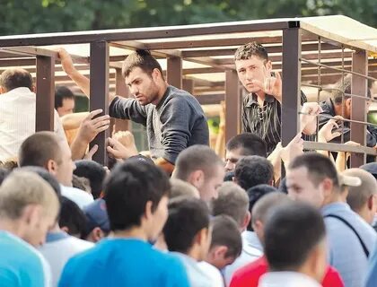 Депортация новый закон