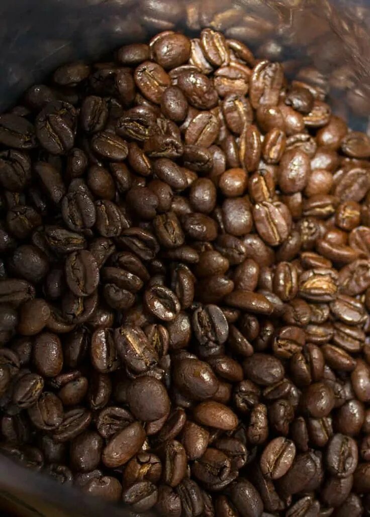Кофе с робустой. Кофе Арабика и Робуста. Кофе зерновой Арабика и Робуста. Робуста (Coffea canephora). Кофе Арабика Робуста Либерика.