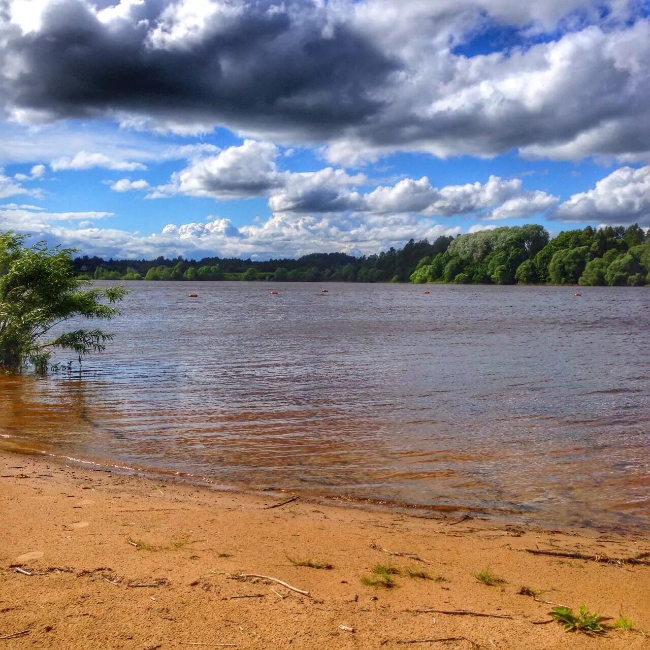 Берега рыбинского водохранилища
