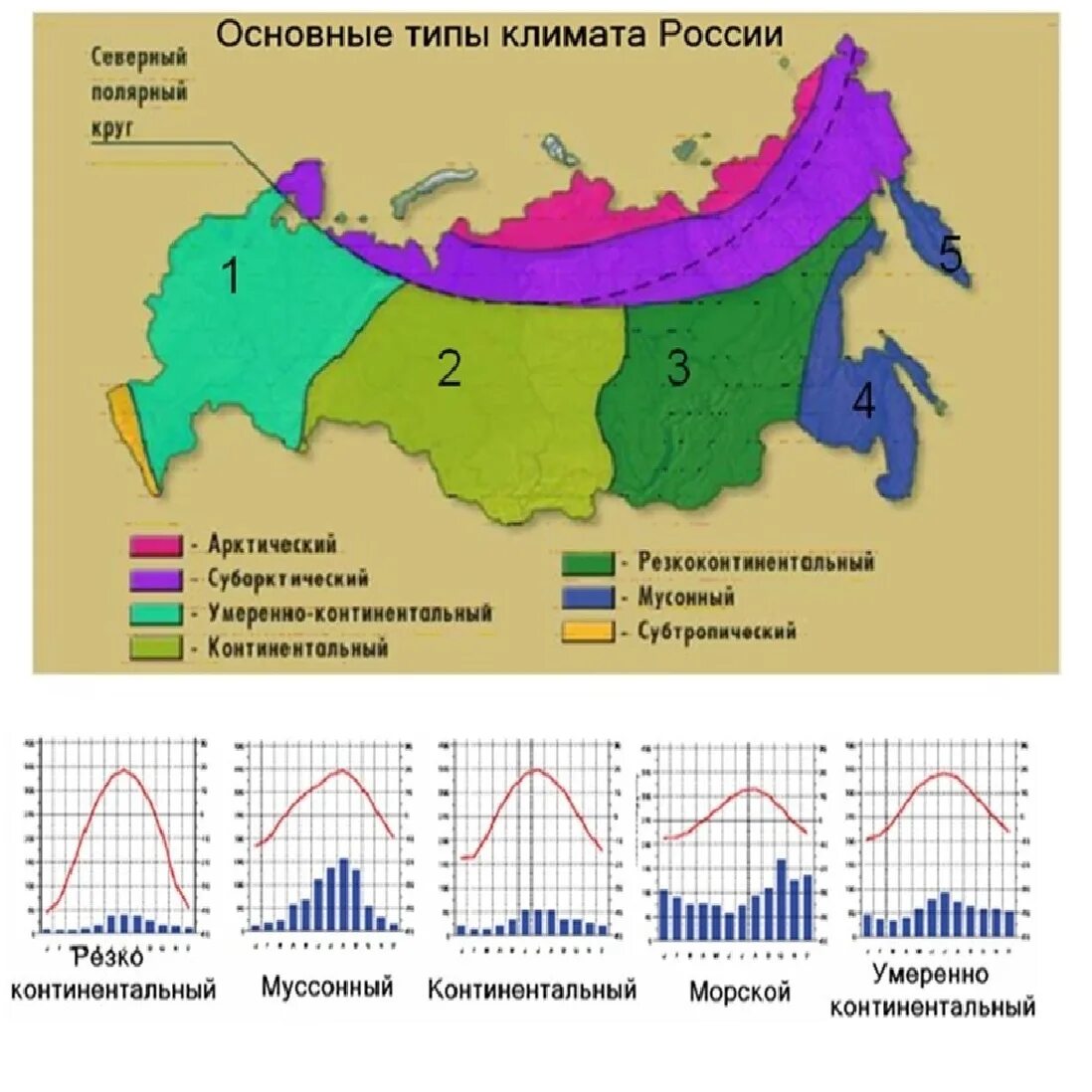 Климатограммы поясов россии 8 класс. Климатограмма. Умеренный пояс климатограмма. Практическая работа 6 класс чтение климатограмм.