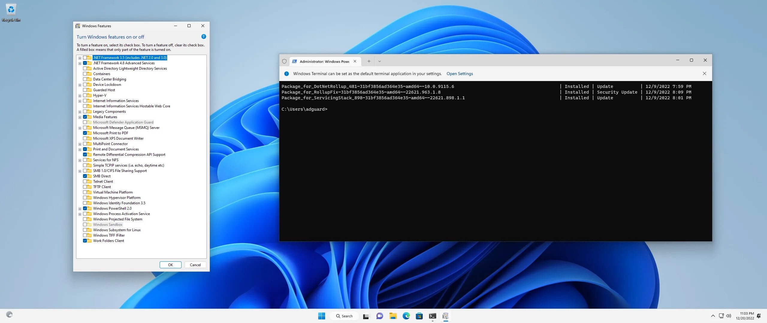 Msdn образы windows 10. Win11 окна. windows 10, версия 22h2. белое окно windows 10. windows 11 версии.