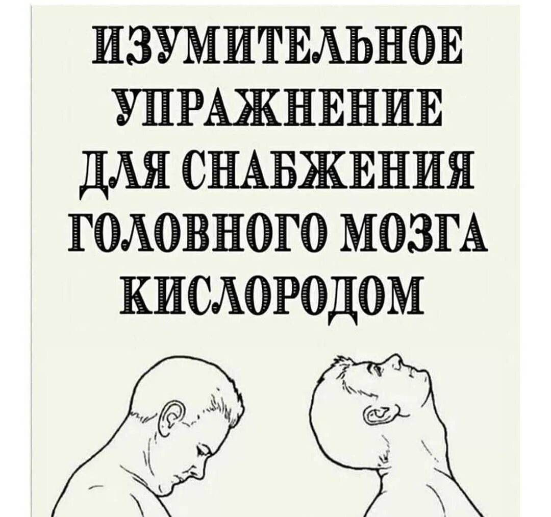 Улучшение кровообращения головного при шейном. Упражнения для головного мозга. Упражнения для шеи для улучшения кровообращения головы. Упражнения для улучшения кровоснабжения головного мозга. Упражнения для снабжения головного мозга кислородом.