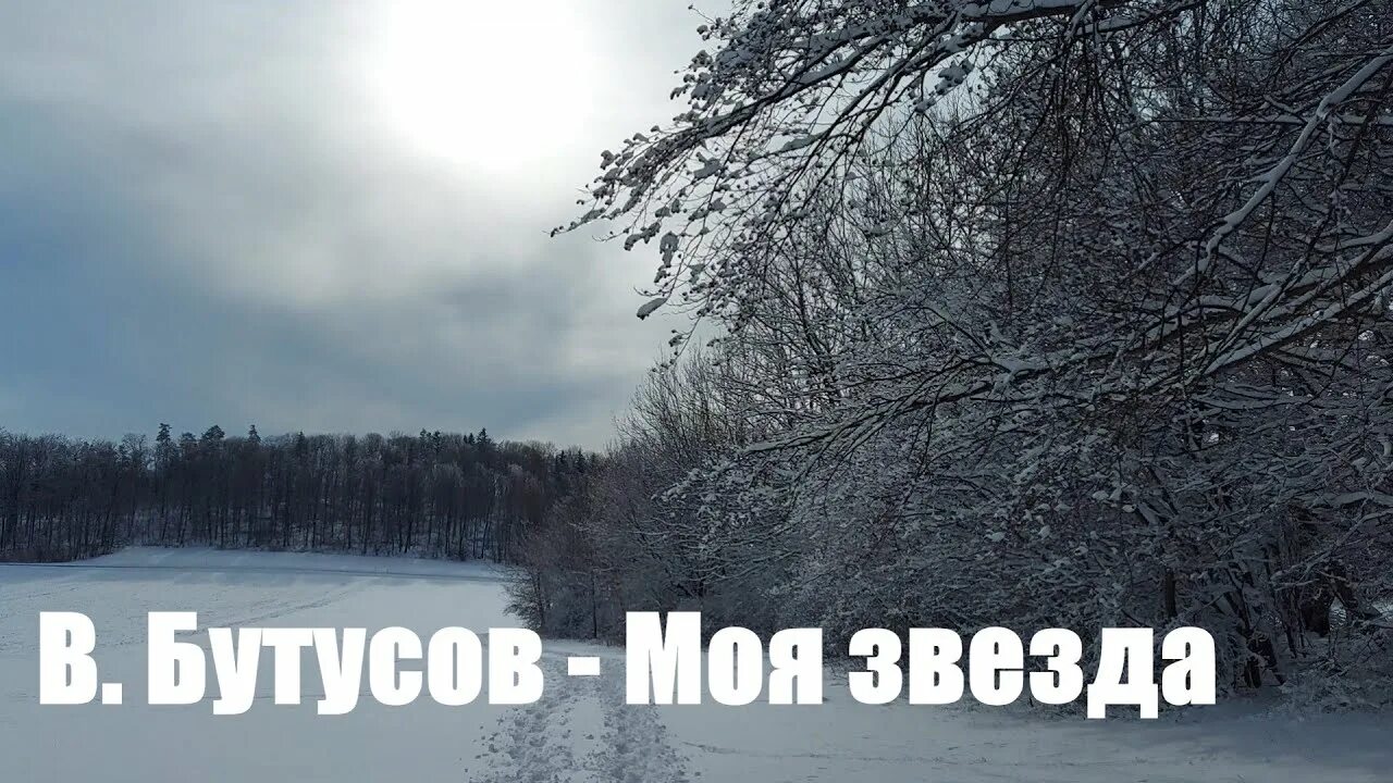 Песня моя звезда бутусов. Моя звезда. Моя звезда Бутусов слушать. Бутусов моя звезда фото.