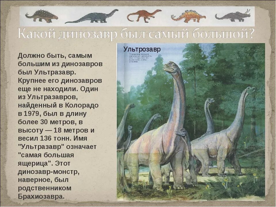 Какие были динозавры. Информация о динозаврах. Самый большой динозавр. Статья про динозавров.