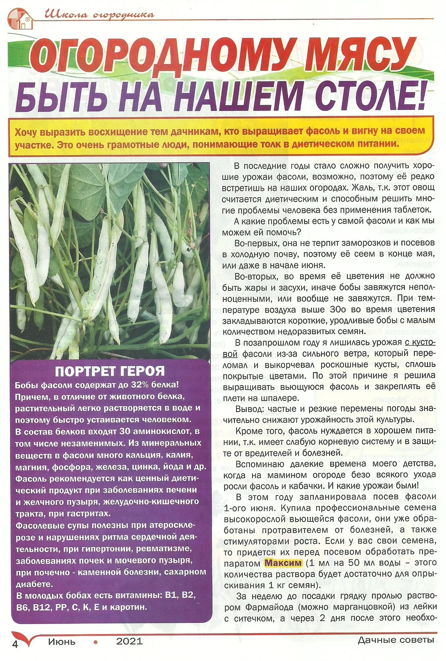 старосельцева свет. дачные советы семена алтая с викторией карелиной. дачные советы с галиной старосельцевой. дачные советы с галиной. дачные советы с галиной.