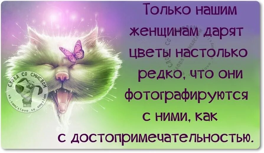 Настолько редко. Только нашим женщинам дарят цветы настолько. только нашим женщинам дарят цветы настолько редко что. только нашем женщинам дарят цветы на столько редко. только наши женщины фотографируются с цветами.