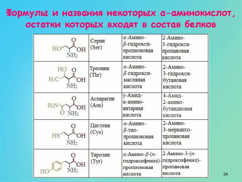 Как изменилось количество аминокислот. 20 Аминокислот входящих в состав белков. Формулы аминокислот входящих в состав белков. Аминокислоты входящие в состав белка. Аминокислоты формулы.