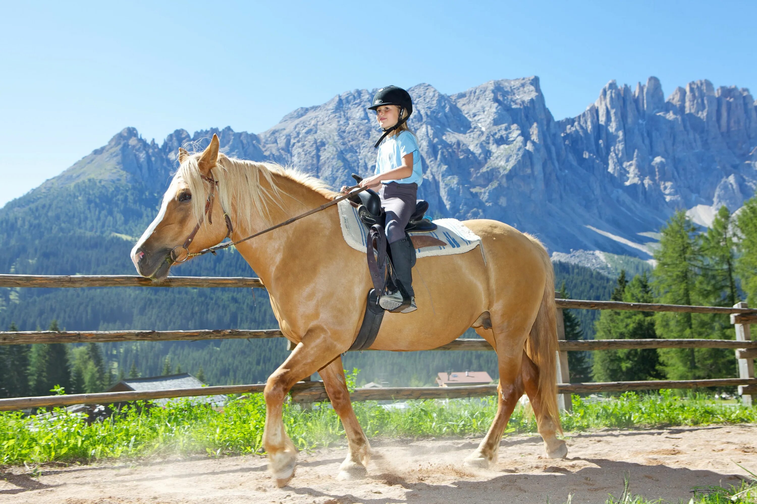 Horse riding. To Ride a Horse. Horse riding Tour Upper Mustang. МИЛКЛ Horse riding. Ride the chariot