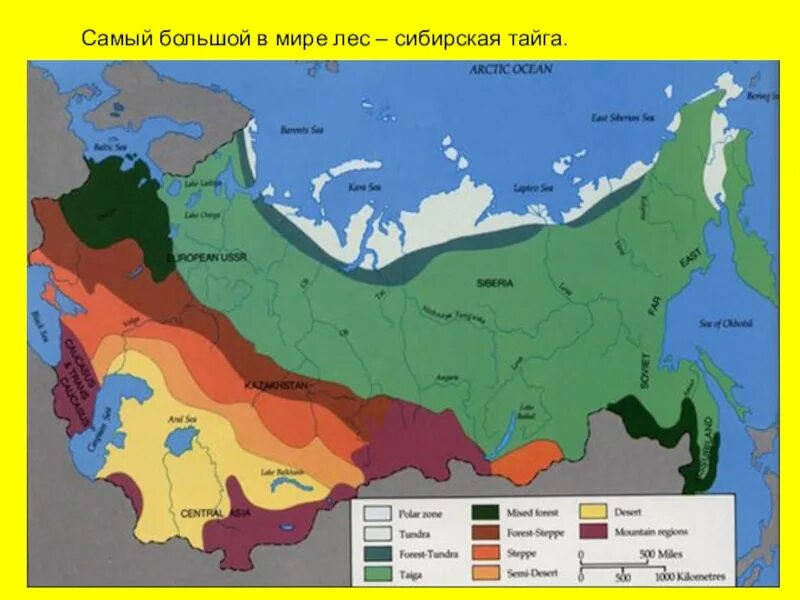 Какую территорию россии занимает тайга. Распространение тайги в России. Территория тайги на карте России. Южная граница тайги. Зона тайги на карте России.