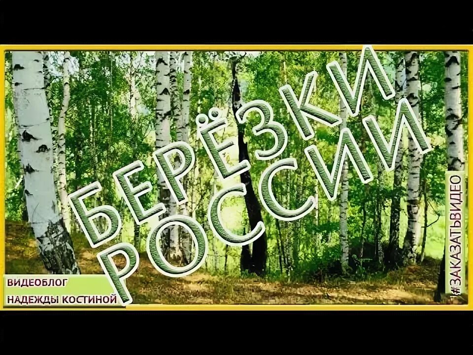 Фрагмент березы. Песня про русь белая березонька. Песня про березу. Талант парк белая береза. Песня про русь белая березонька.