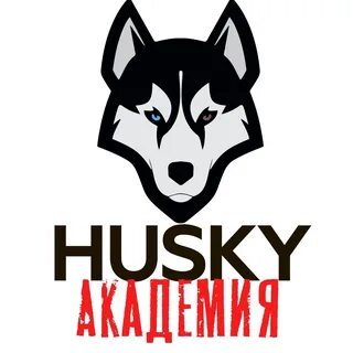 Кибер хаски