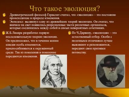 Понятия и определения эволюция