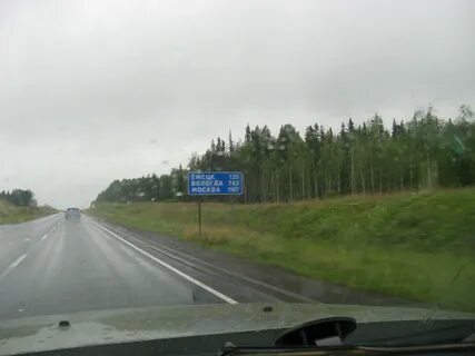 Березник вологодской