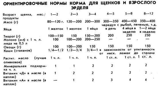 Сколько творога давать щенку