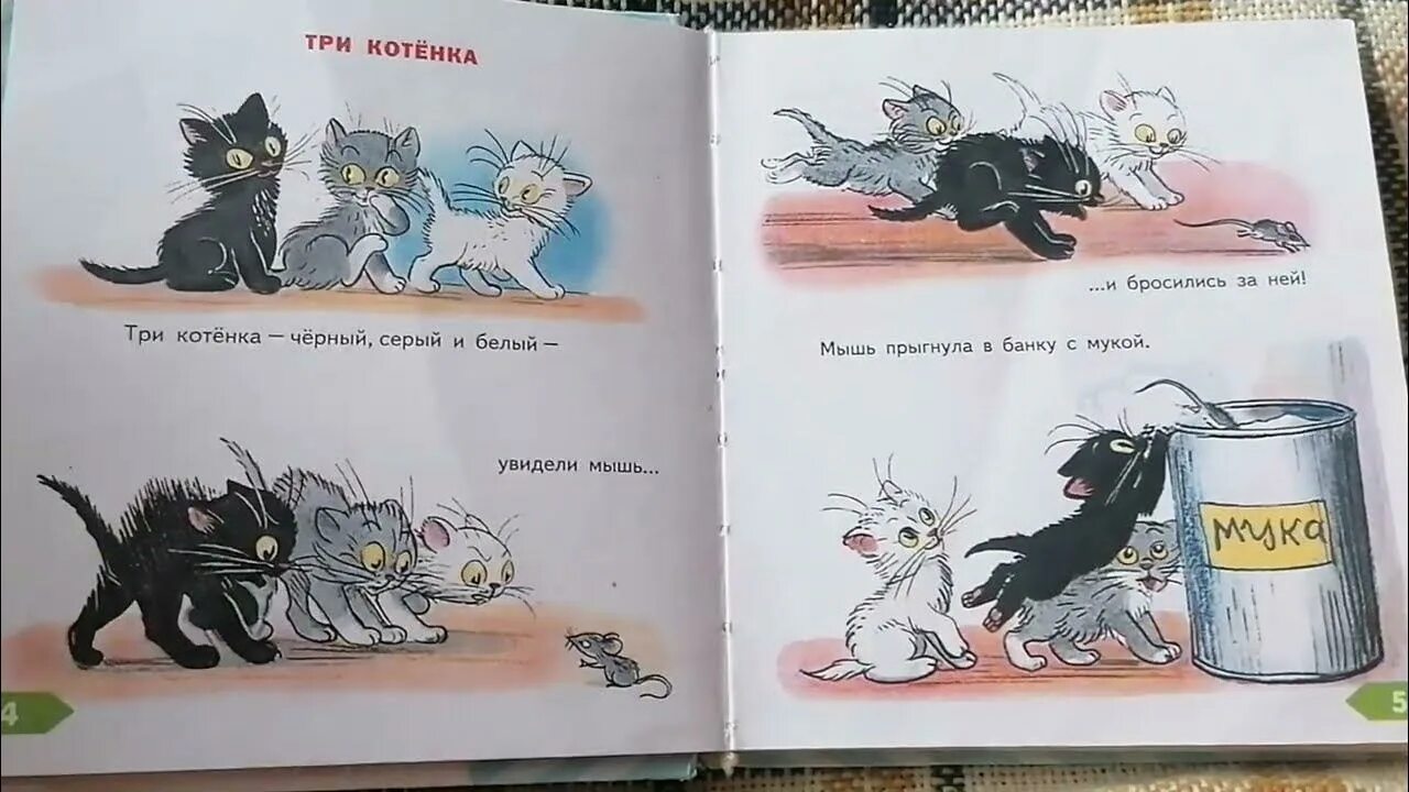 Сутеев 3 котенка. Сутеев в. "три котенка". Три котенка сказка Сутеев. Книга Сутеева три котенка. Федин котенок 3 полностью