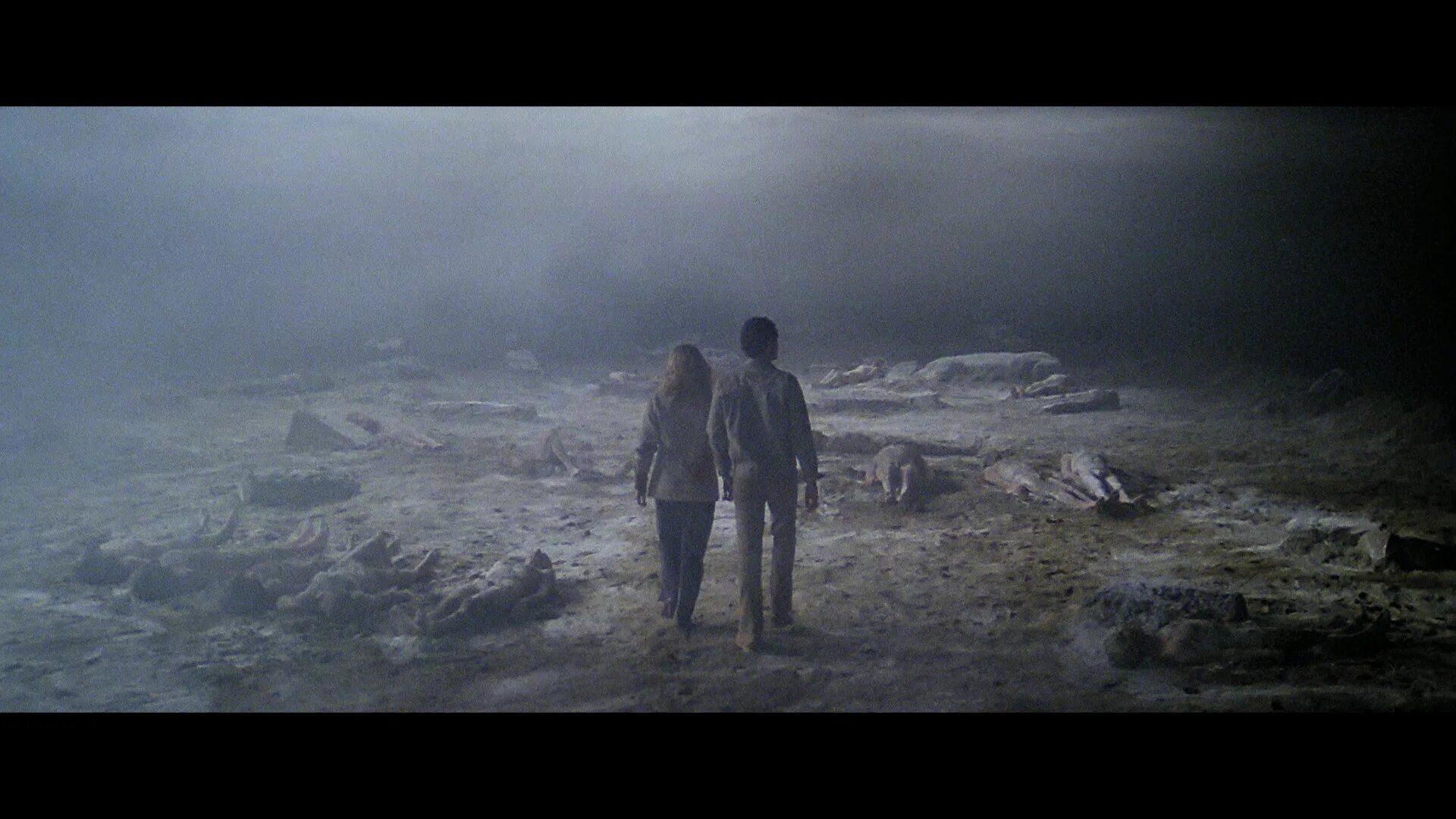 Палачи 2016. "Седьмые врата ада" (1981), реж. Лучио Фульчи.