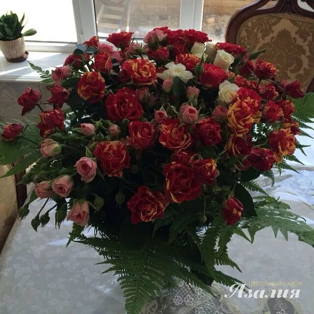 розы махачкала