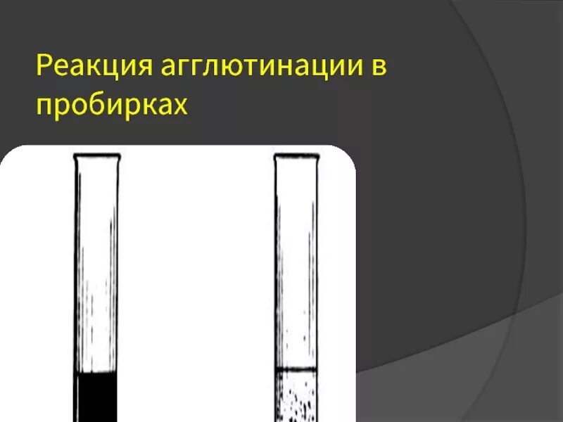 Реакция агглютинации в пробирках. Развернутая реакция агглютинации в пробирках. Реакция агглютинации в пробирках схема. Учет реакции агглютинации в пробирках.