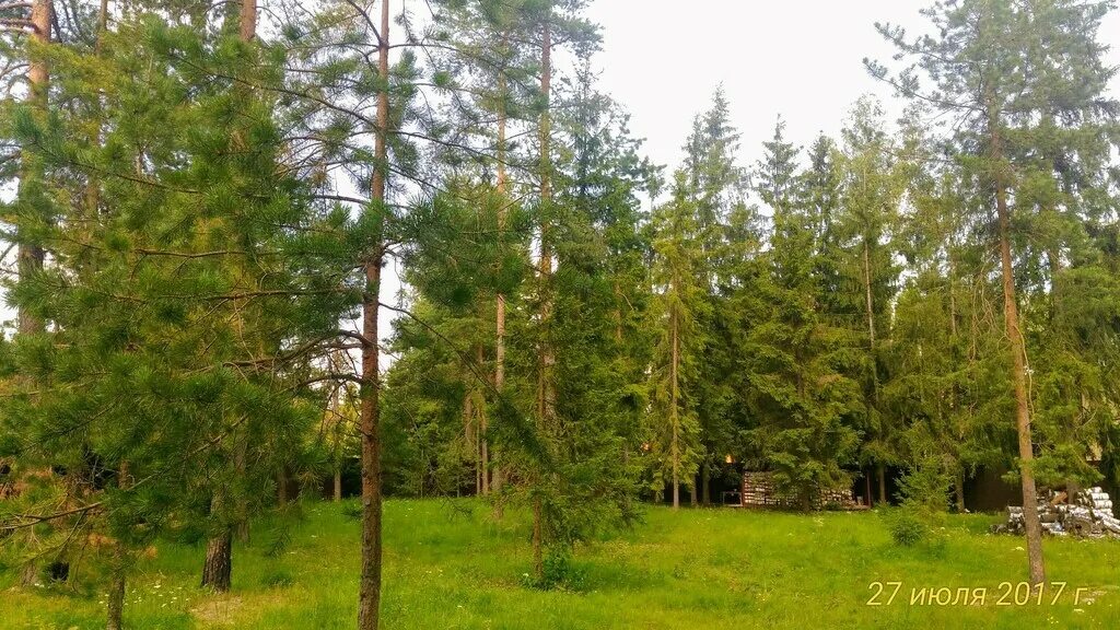 Днп д. Днп ветеран домодедовский район. снт ветеран калачево. долматово днп ветеран. днп ветеран проект.