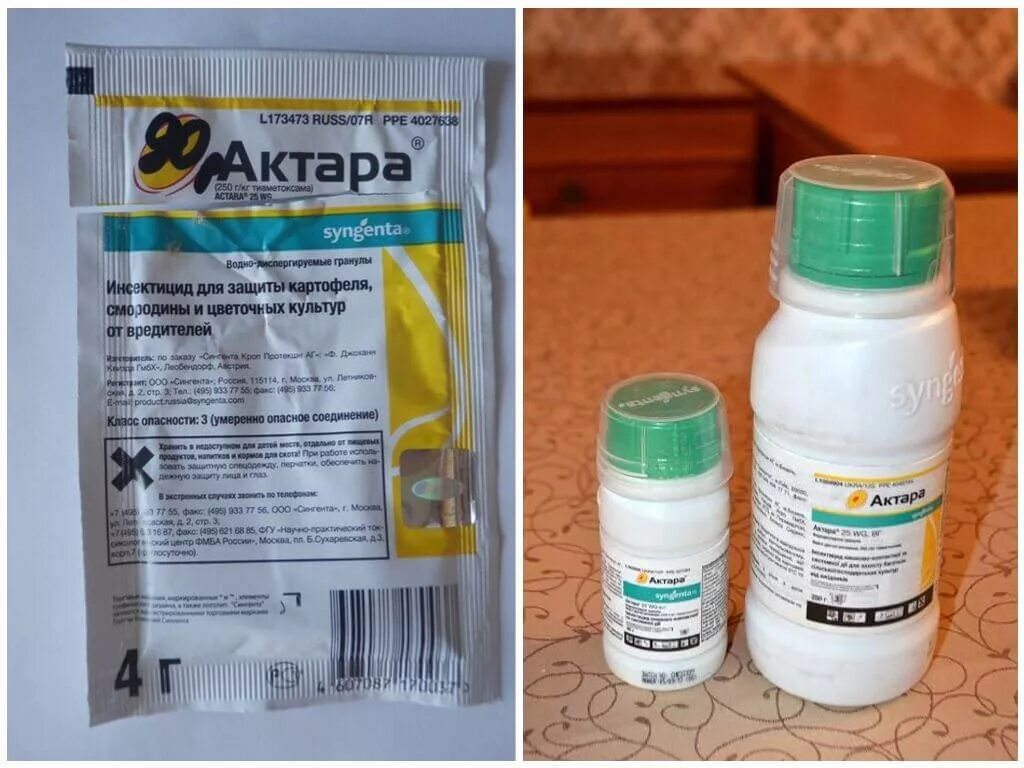 Можно ли поливать актарой. Актара 2г. Актара 250. Отрава от колорадского жука Актара. Отрава для колорадского жука Актара.