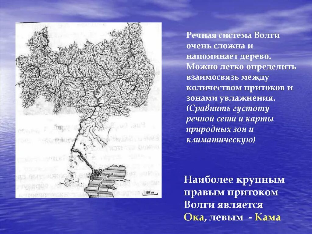 Города стоящие на волге список. Речная система Волги. Города России на Волге список. Большие города на Волге список. Города на Волге 2 класс.