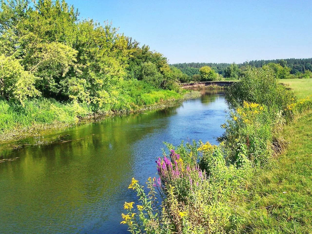 Эх река река. Река Горинь. Река Горынь Украина. Горынь (река). Маленькая речка.