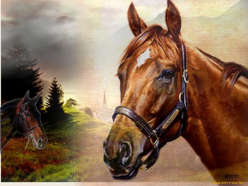 Голова лошади живопись. Красивые картины лошадей. Портрет лошади. Голова лошади. Читать про лошадей