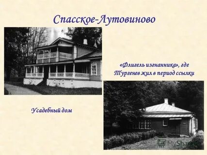 Ссылка тургенева