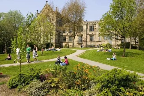 This is university