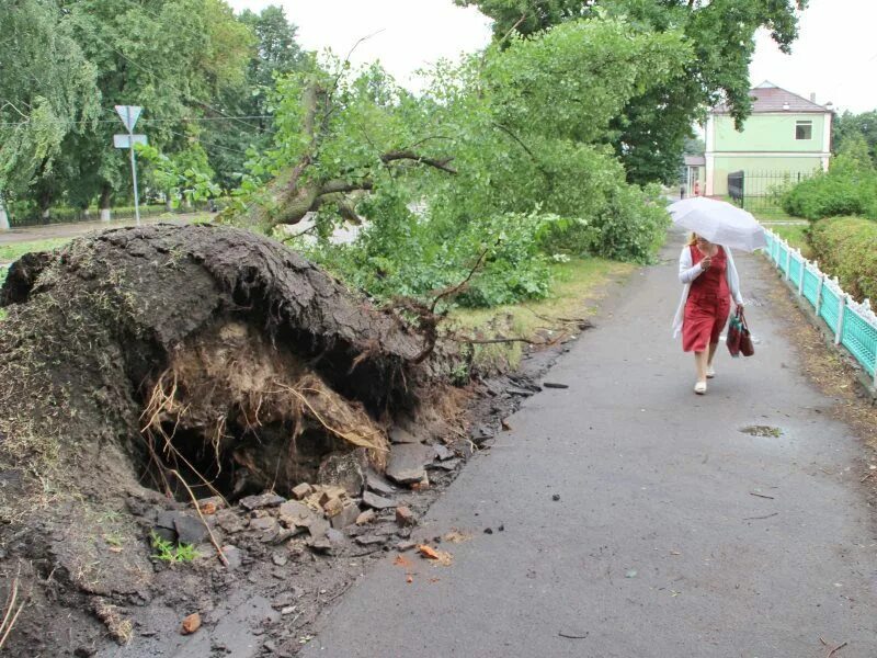 Дмитровск сейчас. Ураган в Орловской области. Дмитровский район ураган. Дмитровск Орловская область. Смерч в Орле в Верховье.