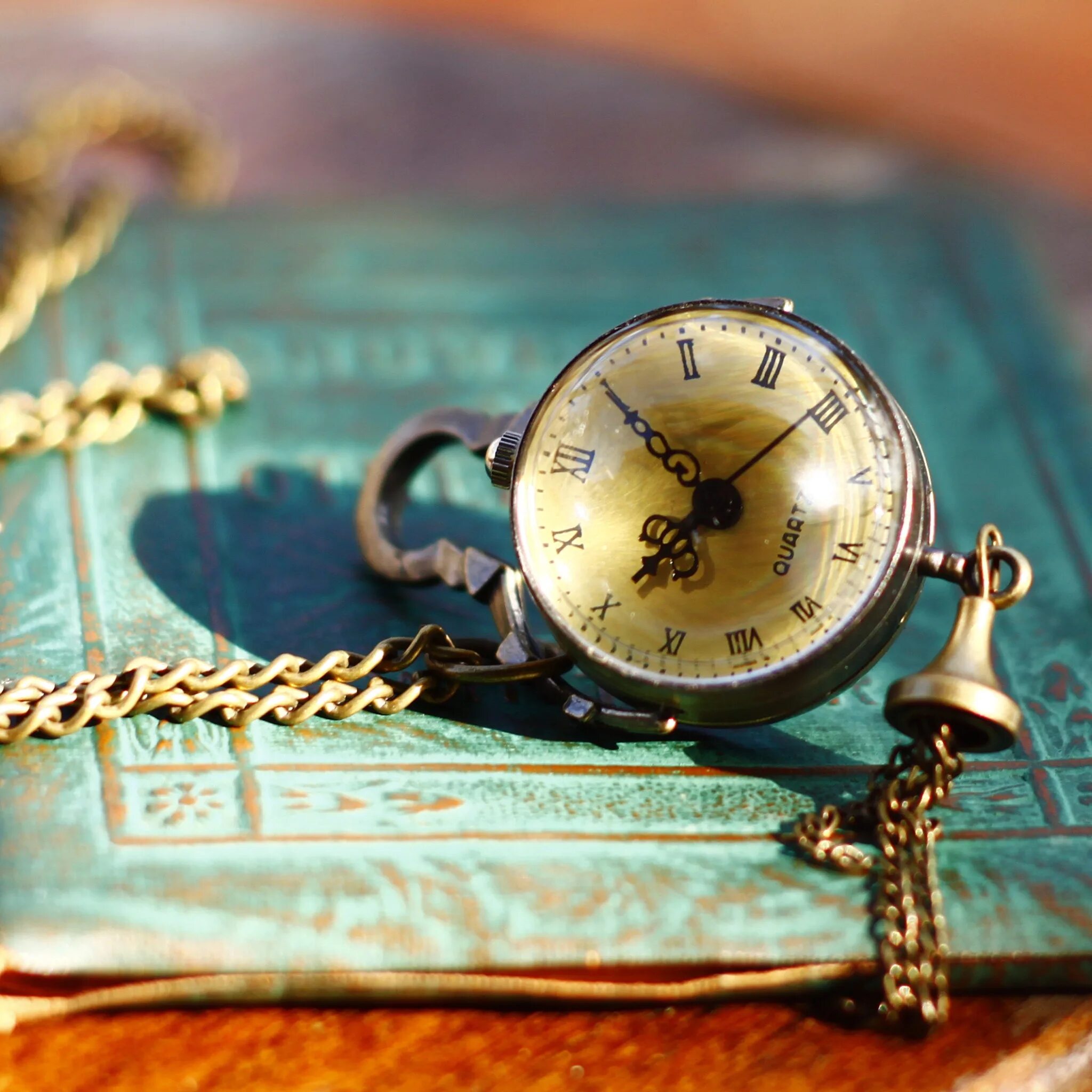 , клетка bg "ути-пути". Клевые тетрадки. Картон с детским принтом а3. Тетрадь времени. Тетрадь 18 л.