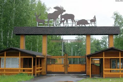 Лосиный остров мытищи