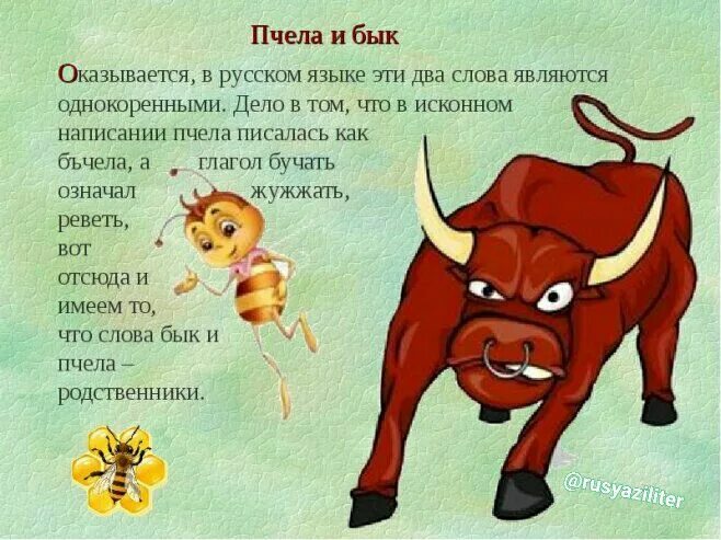 основа слова пчела. этимология слова бык и пчела. интересная информация о пчелах. основа слова пчела. основа слова пчела.