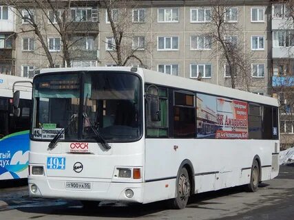 Автобус 494 белоостров расписание