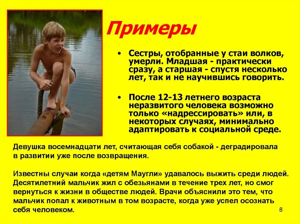 Является ли маугли человеком. Презентация на тему дети маугли. дети маугли презентация. доклад на тему дети маугли. дети маугли доклад.