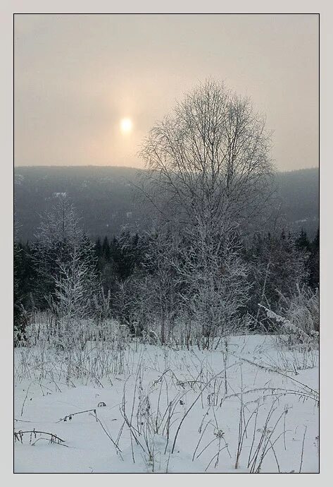 без солнца холодно. холодно солнце. холодное солнце. холодное солнце красивое фото. холод и солнце.