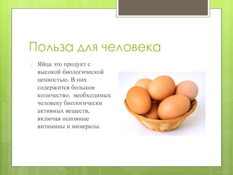 В каком яичке находится семя