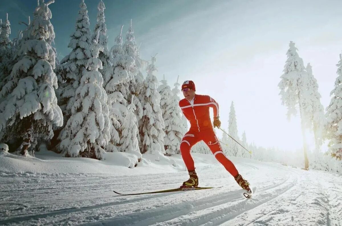 Лыжник. Зимний спорт. Лыжные гонки. Горнолыжный спорт. Do sport the winter