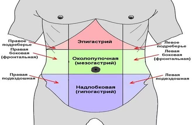 Боль под ребрами слева спереди у мужчин. Эпигастральной области. Эпигастральная область живота. Подложечная область. Болит в эпигастральной области.