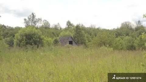 Погода в александровском районе владимирской